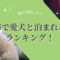 熱海で愛犬と泊まれる宿ランキング！客室露天風呂やワンちゃんのアメニティ充実のお宿も！