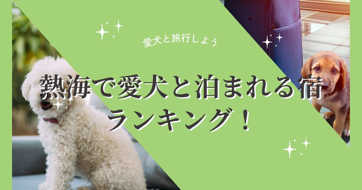 熱海で愛犬と泊まれる宿ランキング！客室露天風呂やワンちゃんのアメニティ充実のお宿も！