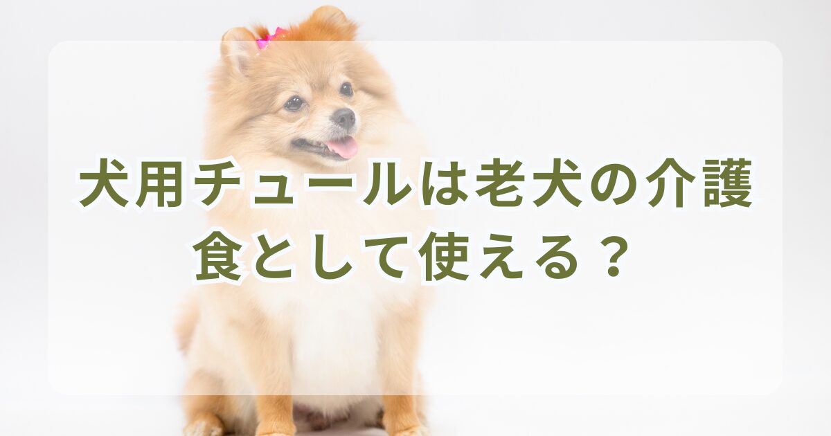 犬用チュールは老犬の介護食として使える？成分や効果を調査！