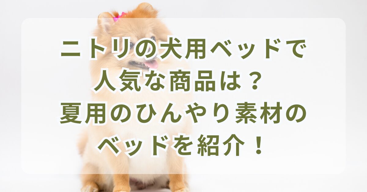 ニトリの犬用ベッドで人気な商品は？ 夏用のひんやり素材のベッドを紹介！