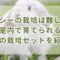 チモシーの栽培は難しい？室内で育てられる人気の栽培セットを紹介！