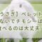 【うさぎ】ペレットを食べないでチモシーばかり食べるのは大丈夫？