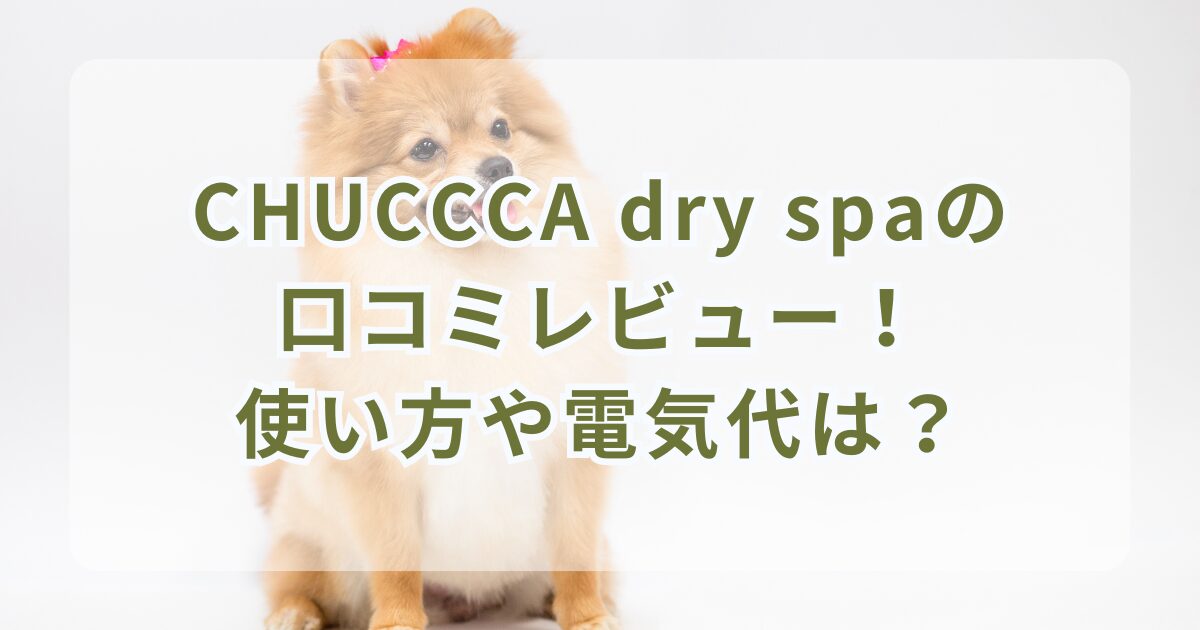 CHUCCCA dry spaの口コミレビュー！使い方や電気代は？