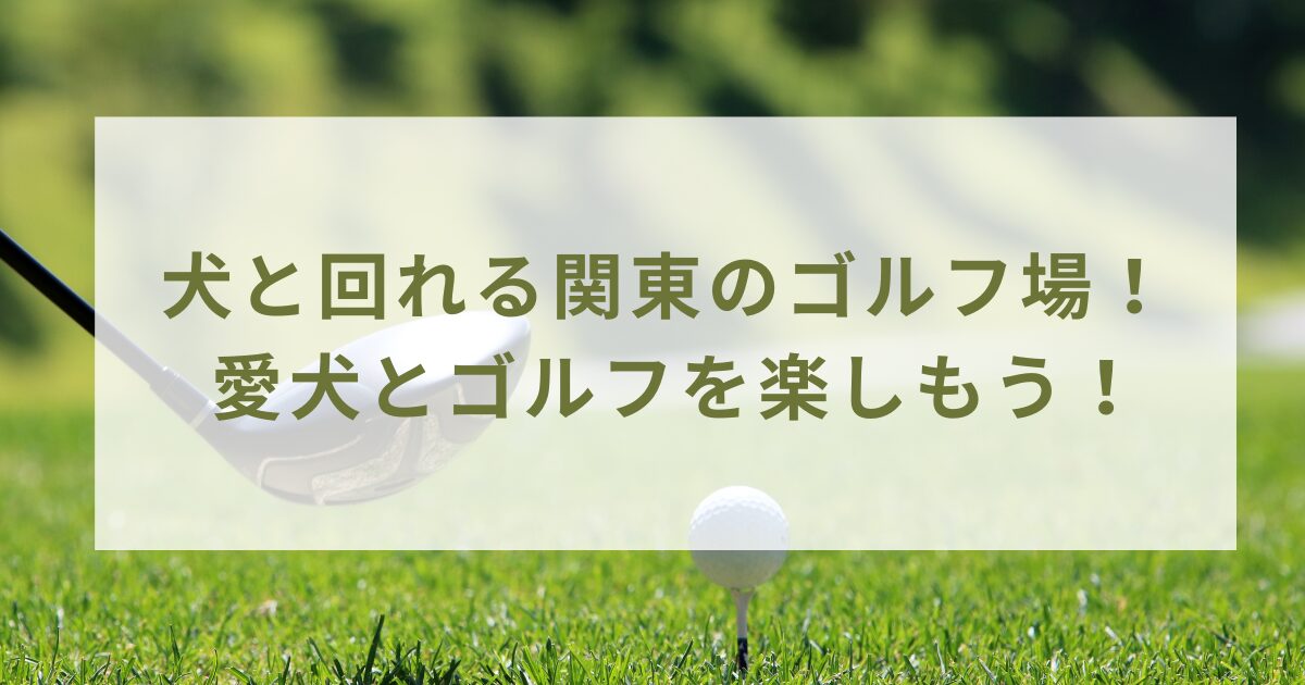 犬と回れる関東のゴルフ場！ 愛犬とゴルフを楽しもう！