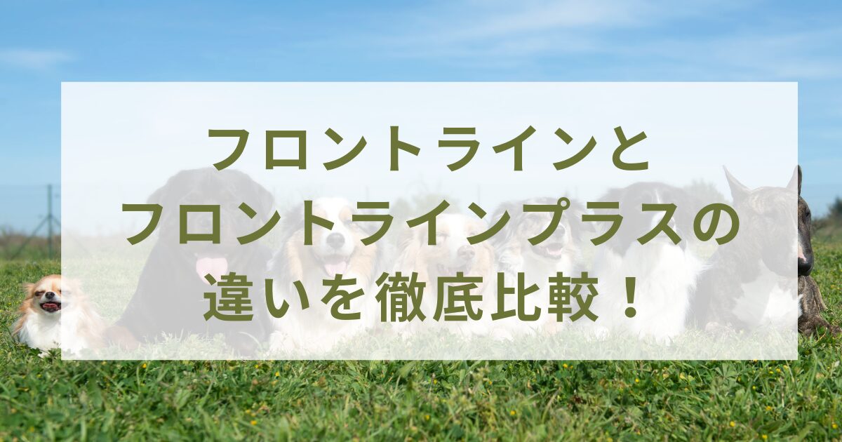 フロントラインとフロントラインプラスの違いを徹底比較！